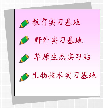实习基地