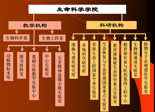 学院组织机构